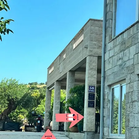 Jelena 3 * Zvekovica